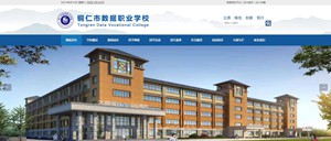 金沙数据职业学校